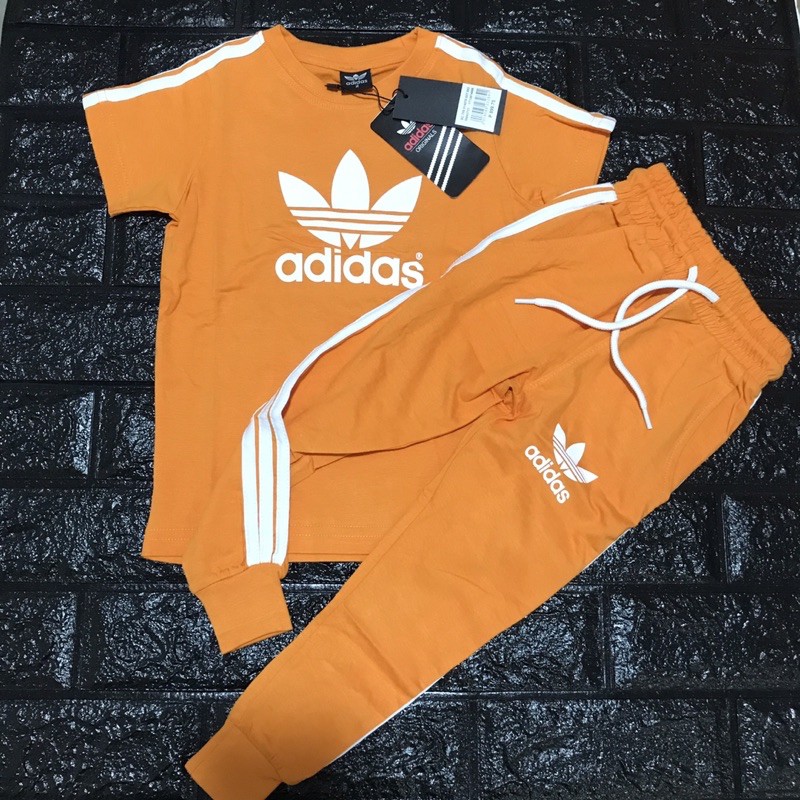 adidas terno jacket