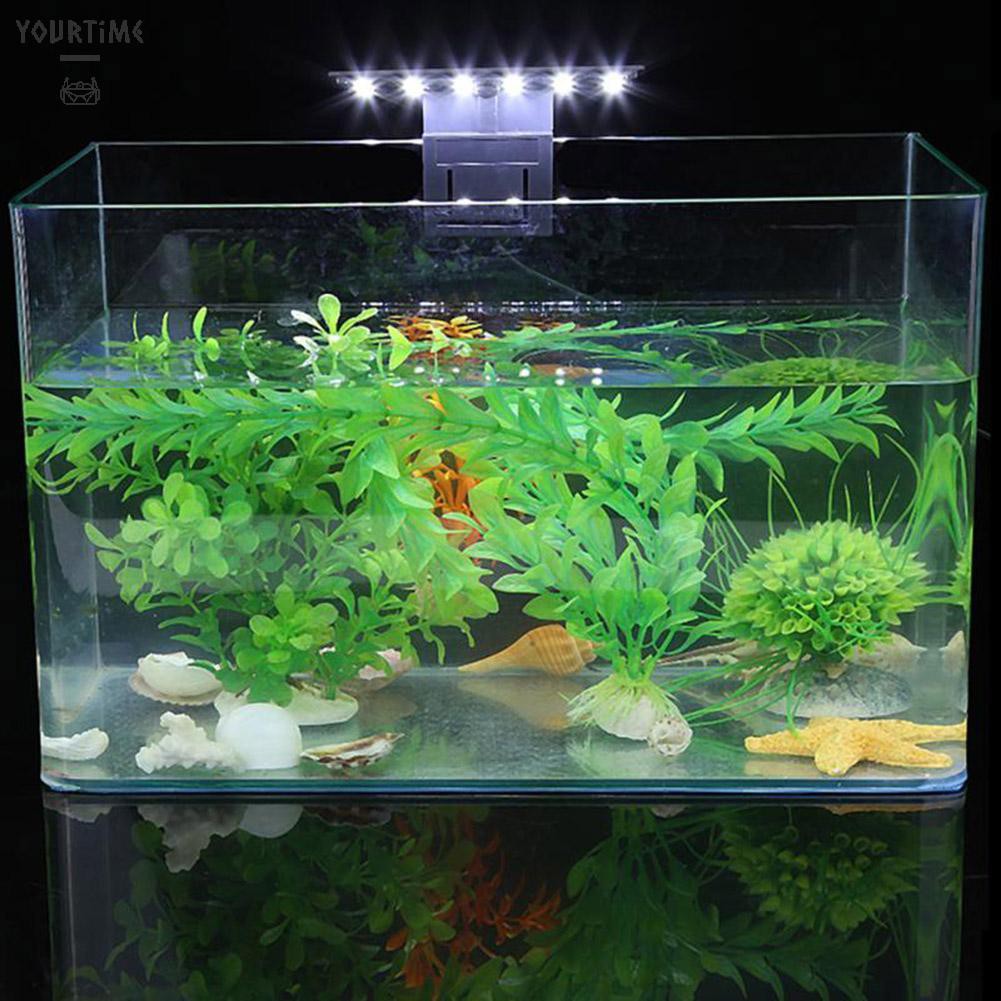 aquarium lighting uk