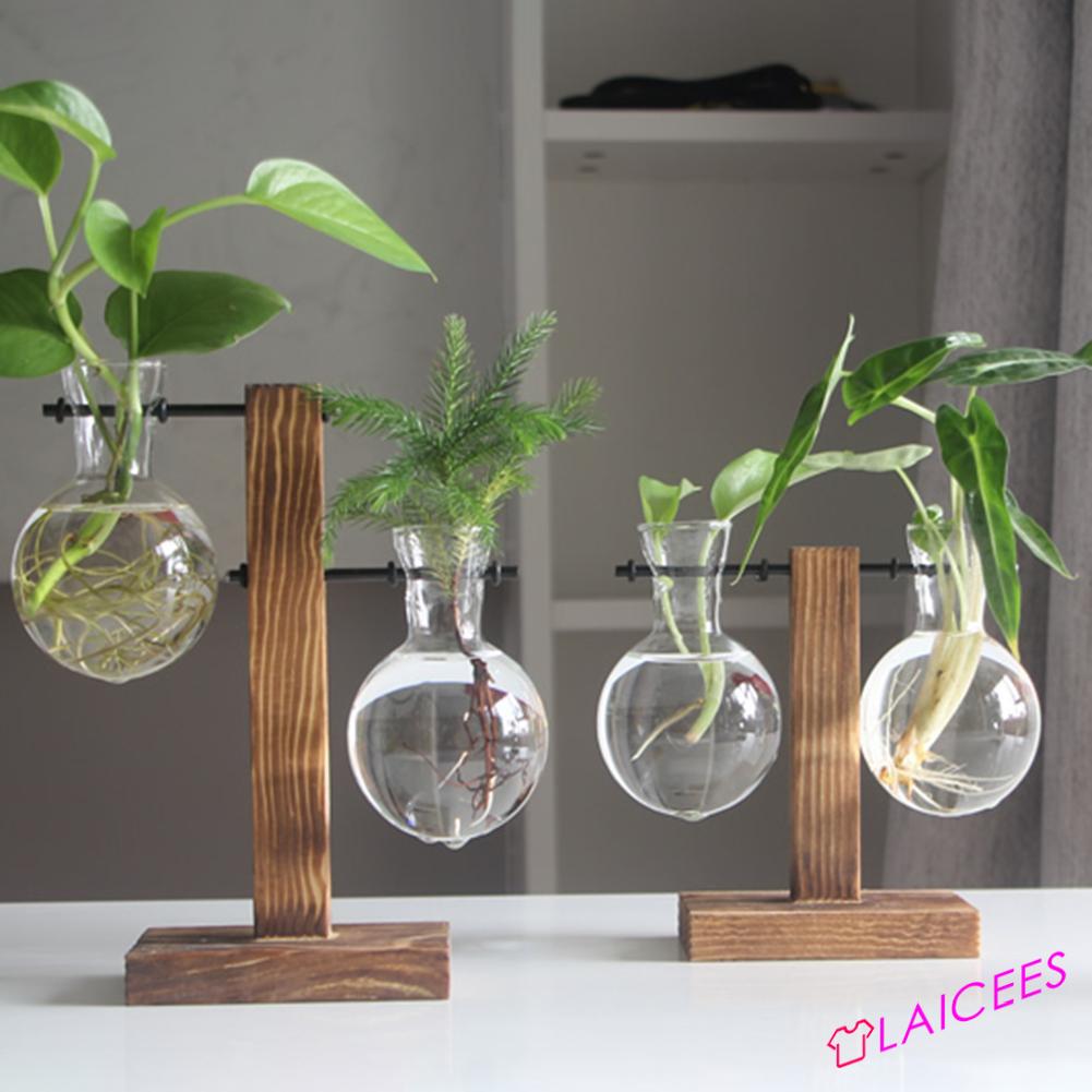 Macrorun Vintage Desktop Bulb Glass Vase Bonsai Flowers Plant Rack with Wooden Stand and Metal for