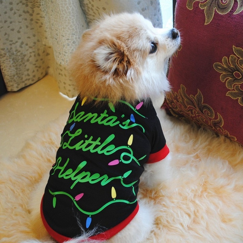 dog santa sweater