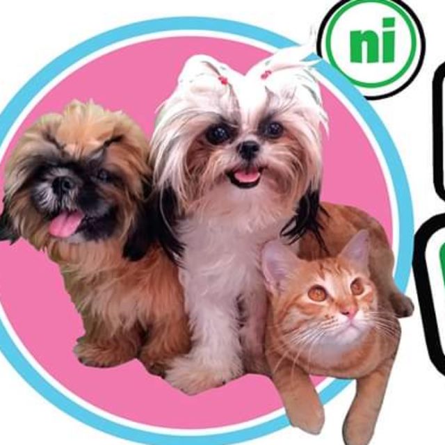 MADNESS, Online Shop Shopee Philippines