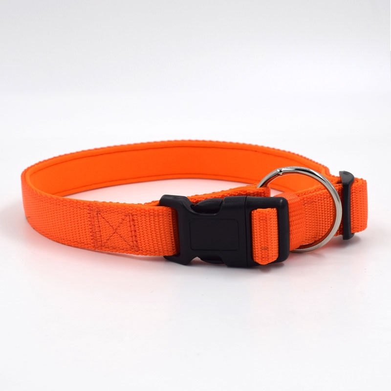 o ring dog collar