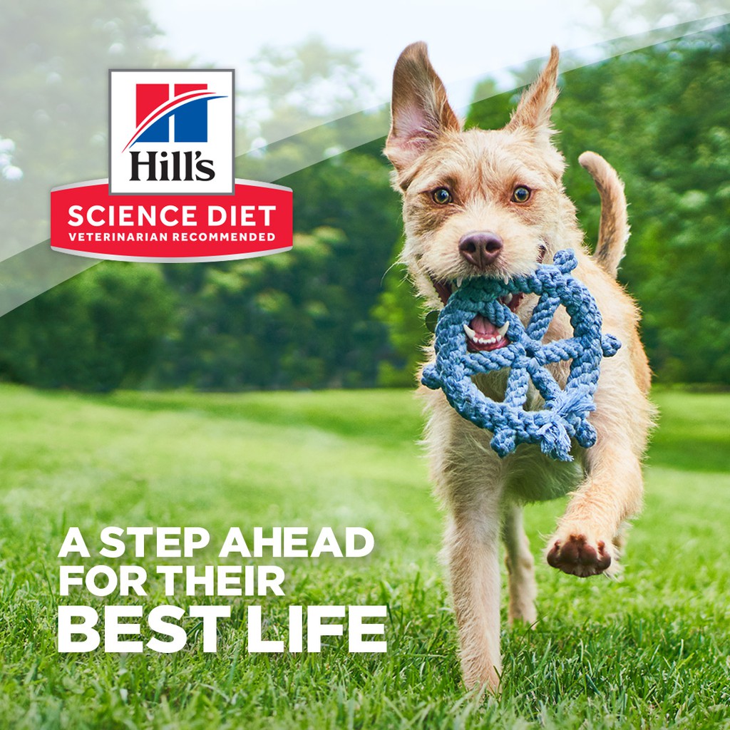 Hill's Pet Nutrition PH, Online Shop Shopee Philippines