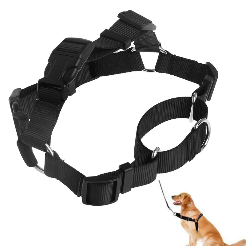 easy walk dog collar
