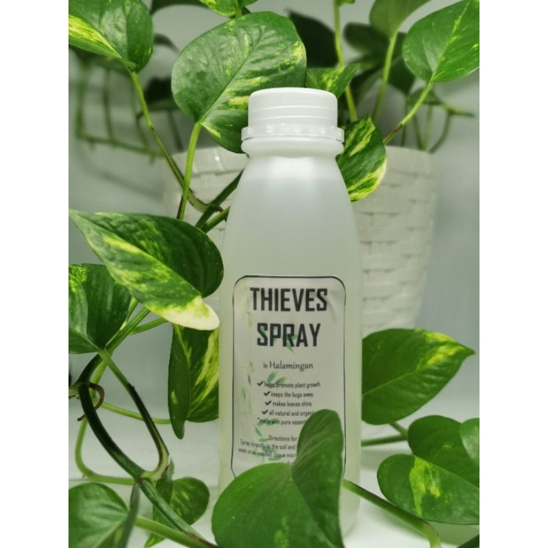 Thieves Plant Spray Refill 500ml Shopee Philippines