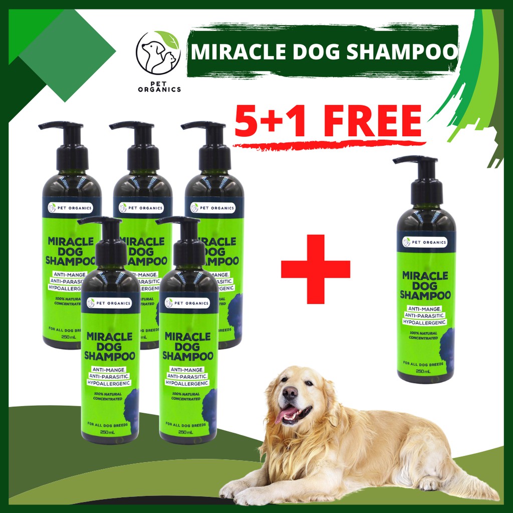 100 Miracle Dog Shampoo Best for AntiMange, AntiParasitic and