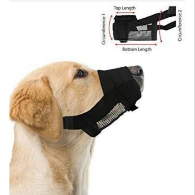dog muzzle for grooming