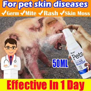 Dog spray for skin allergy galis treatment for dogs Pet Antibacterial Spray Kills Germs and Bacteria