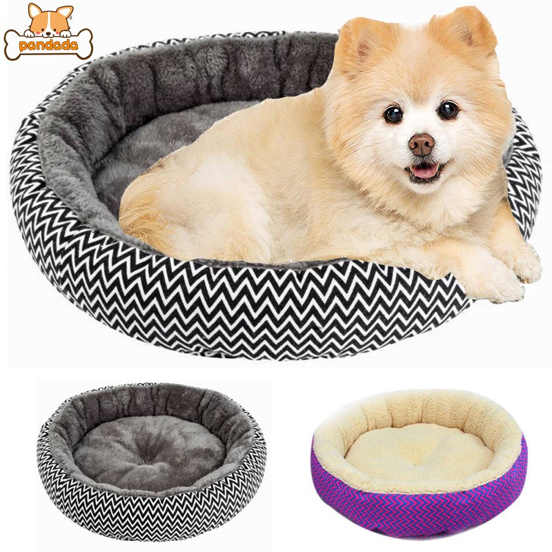 pictures of fox red labradors