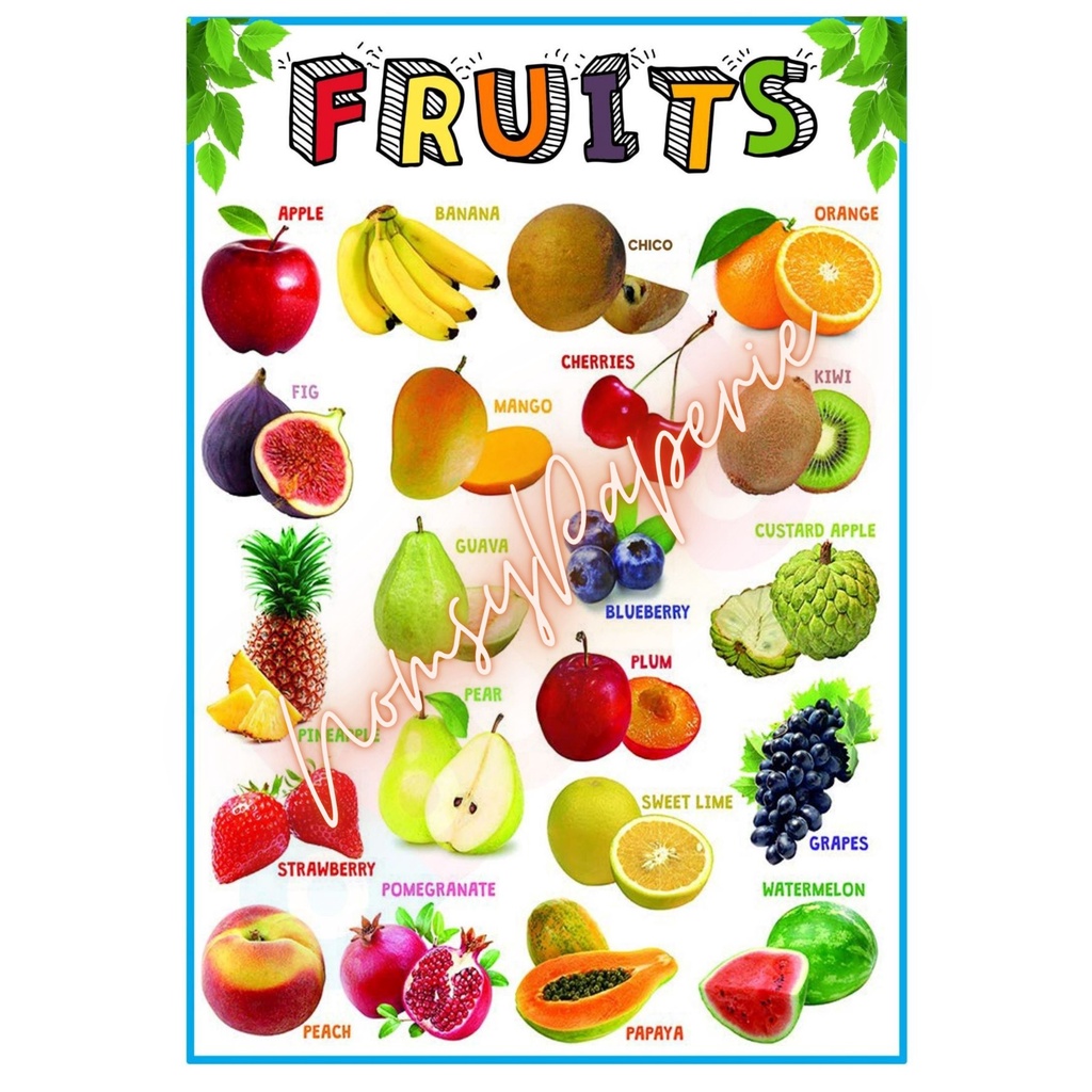 FRUITS CHART A4 LAMINATED by NomsyPaperie Shopee Philippines