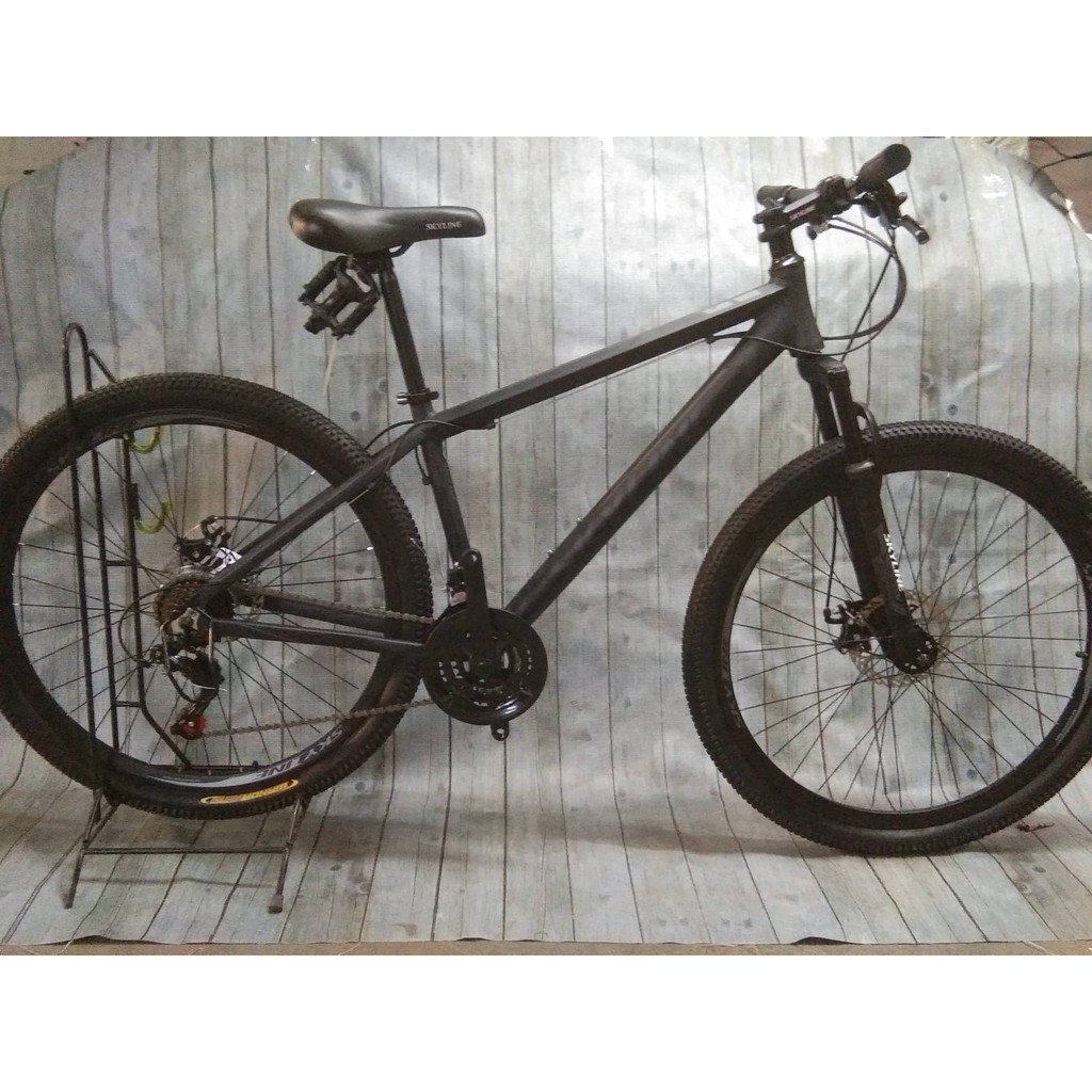 skyline mountain bike 27.5