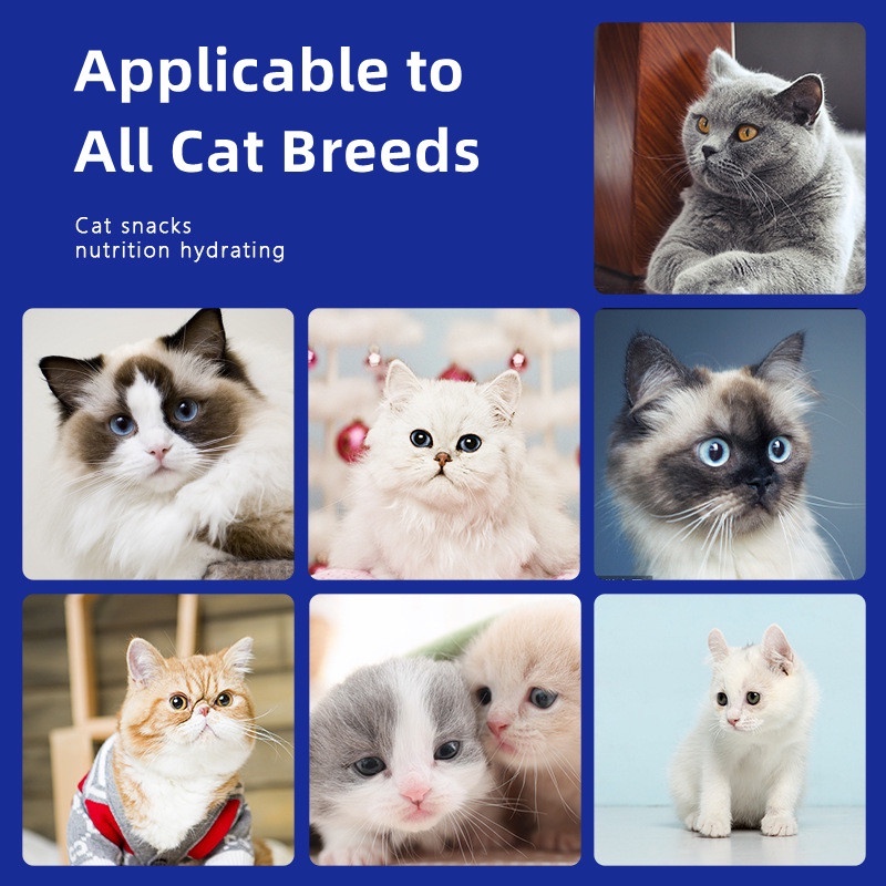 【Buy 10 FREE 5】 Cat Strip Cat Treats 16g/ Support Cat Wet Food Cat Kitten Adult Cat Pets Food Snacks #7