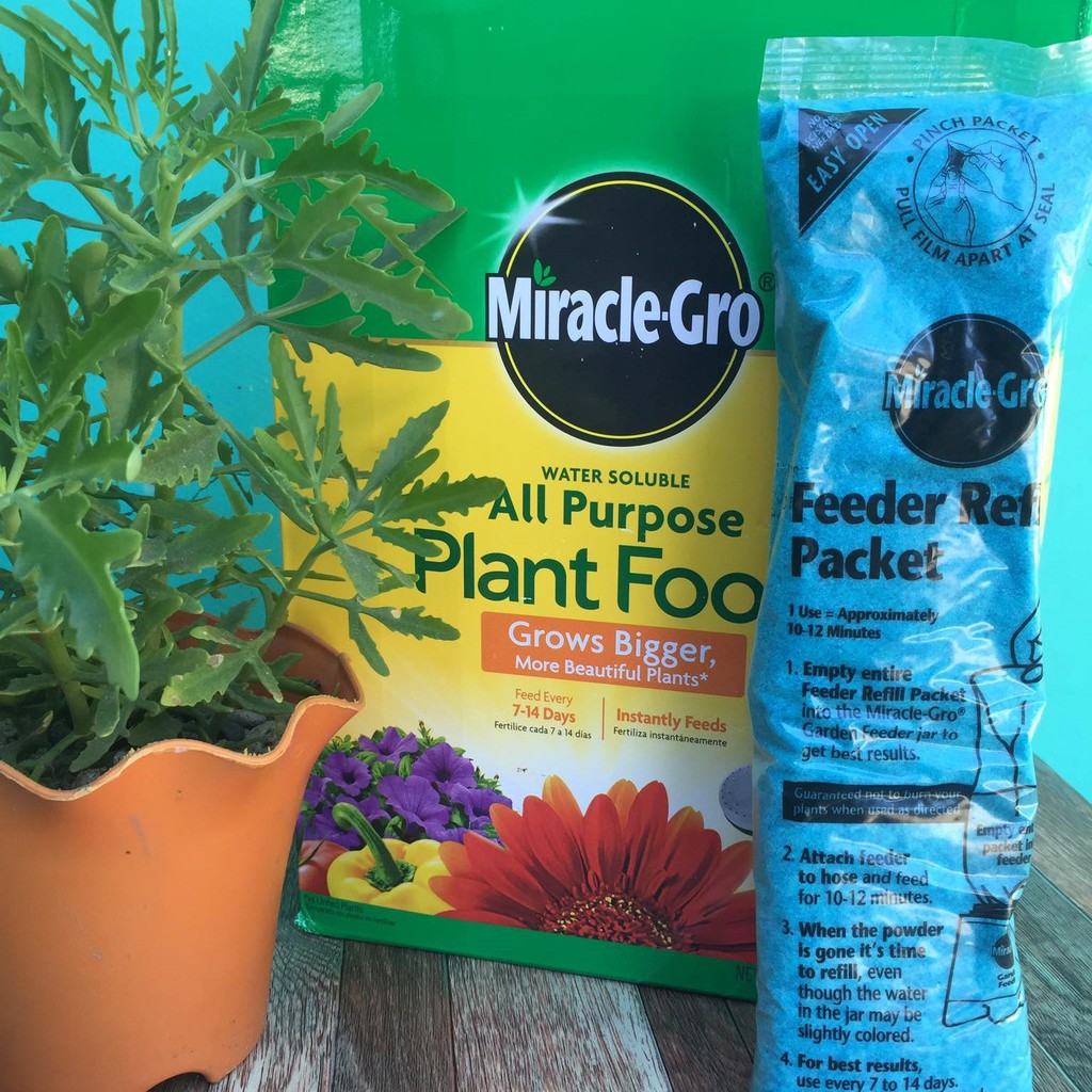 Miracle Gro Water Soluble All Purpose Plant Food 566grams 20oz Refill Packet Only No Box And Spoon Shopee Philippines