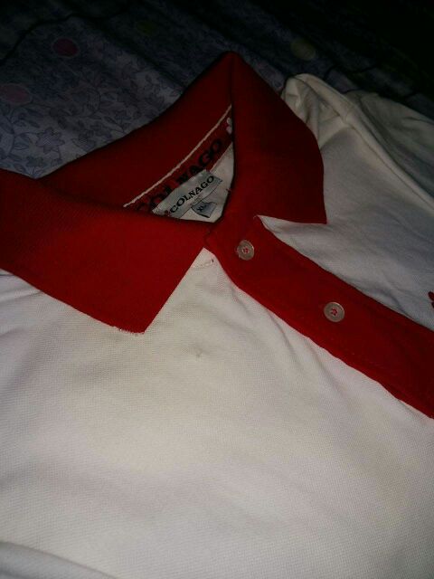 colnago polo shirt