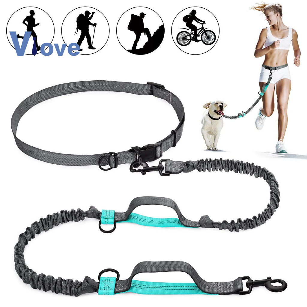 dog leash waist