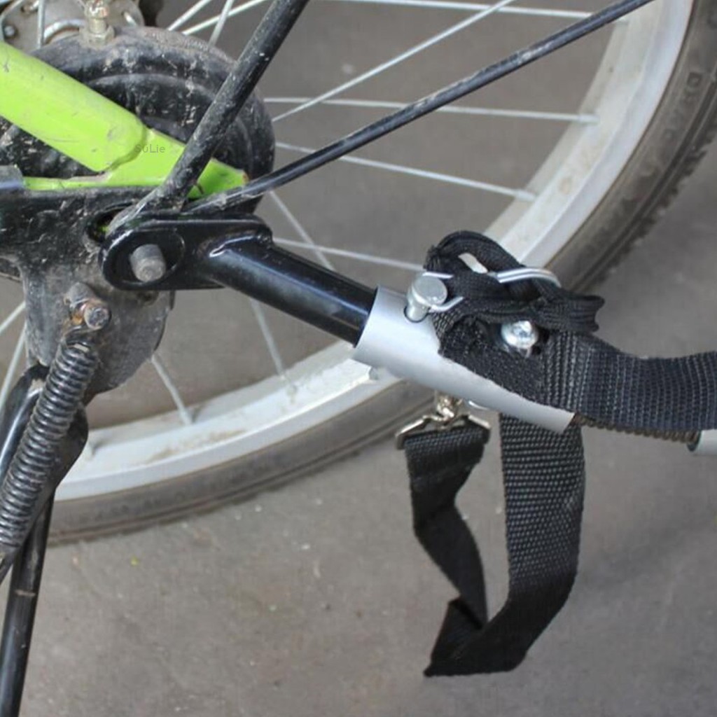 bike axle mount