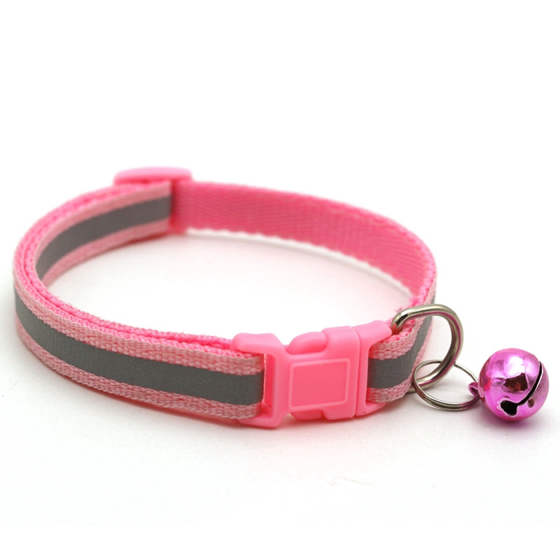 buckle dog collars