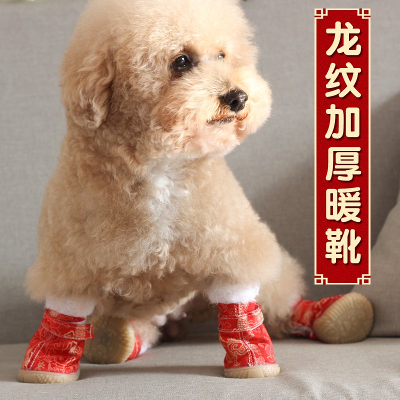 dog snow shoes