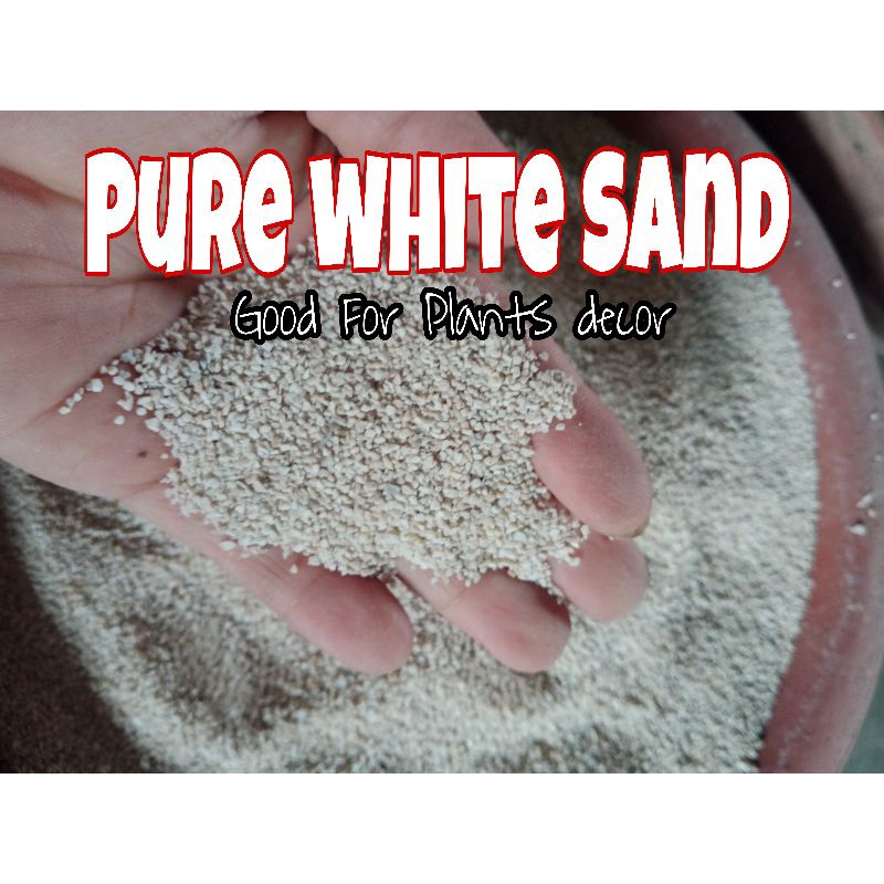 1kg White Sand/Good For Plants Support and Design Shopee Philippines