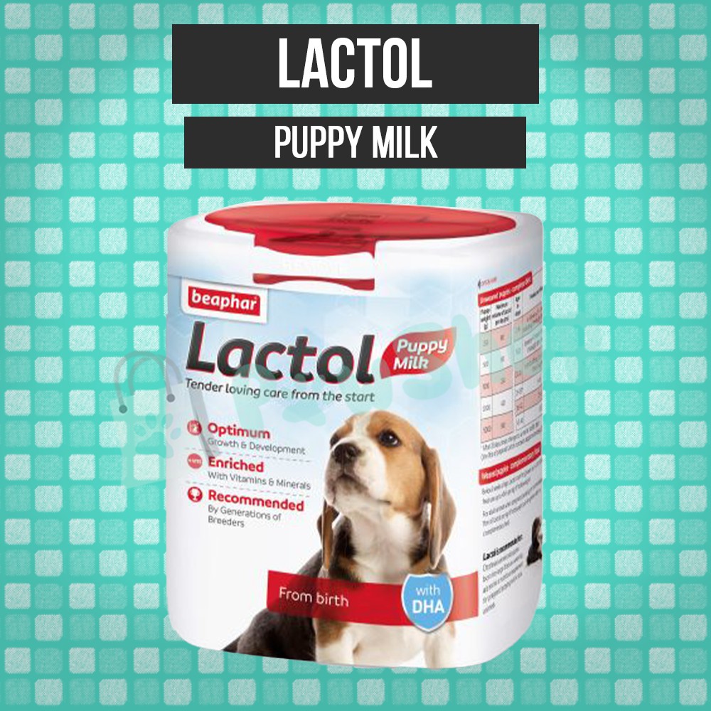 milk for sick dog