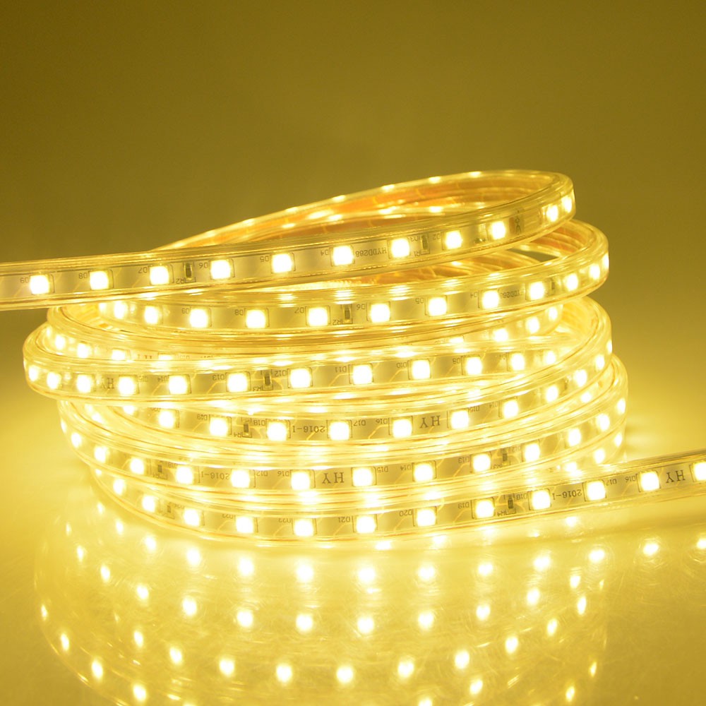 8MM led strip lights 5050 led strip IP44 220v Power plug purchased