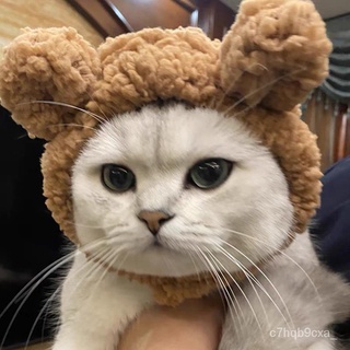 ❣COD Pet hat dog hatPet Hat Bear Plush Headgear British Shorthair Cute Cat Small Dog Dog Headdress f