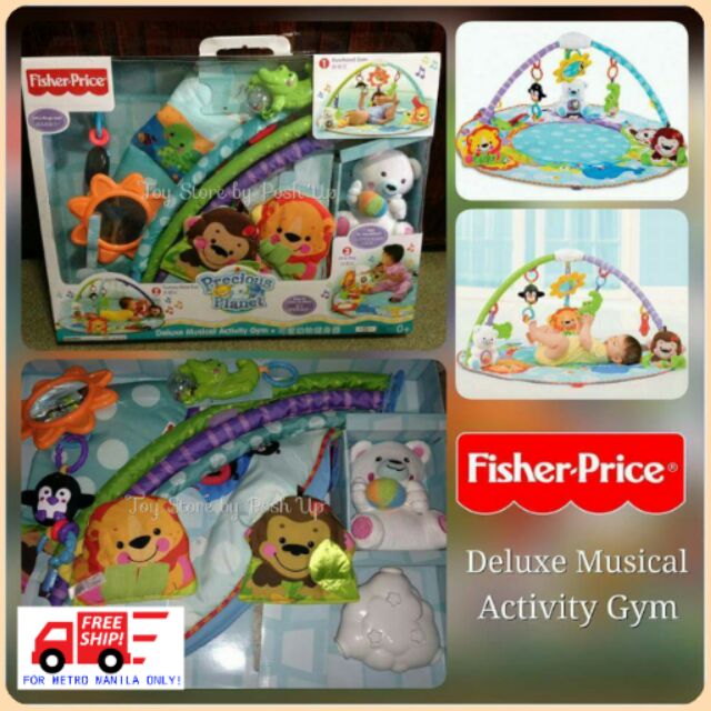 deluxe musical activity gym
