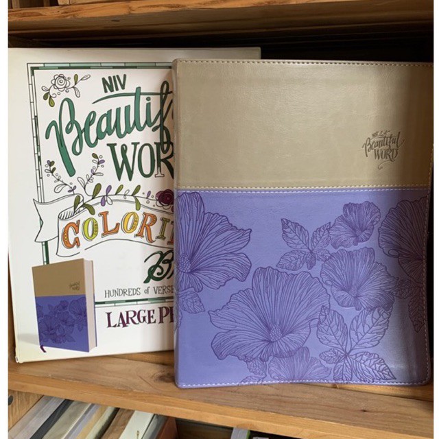 NIV Beautiful Word Coloring Bible for Coloring and Creative Journaling