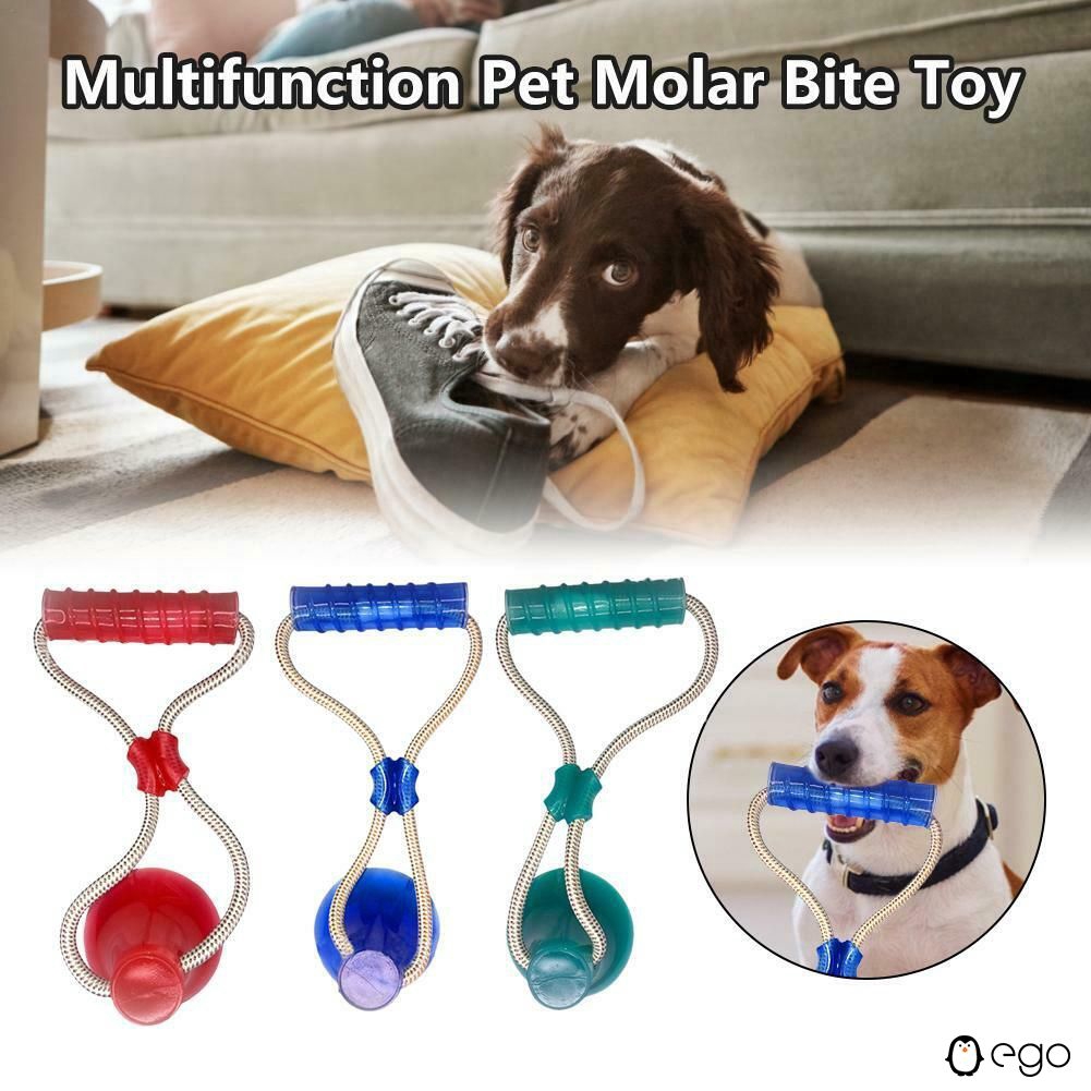 dog toy that sticks to floor