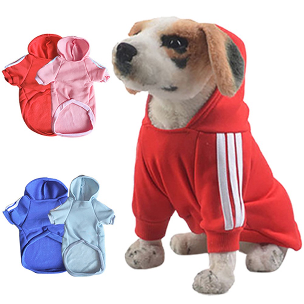 puppy winter clothes