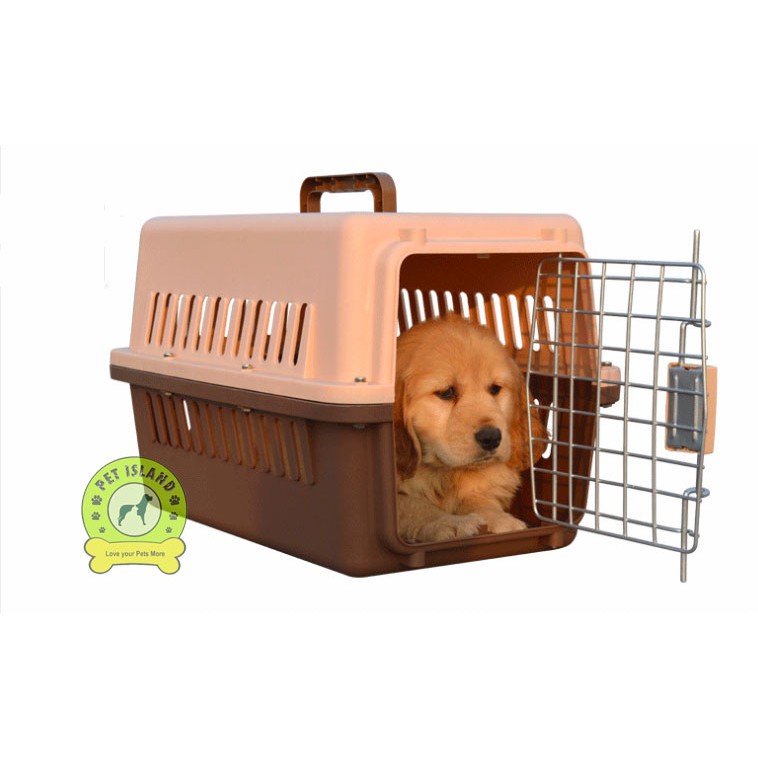 dog transport crate