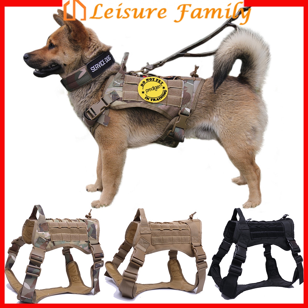 are bungee leashes suitable for german shepherd dog