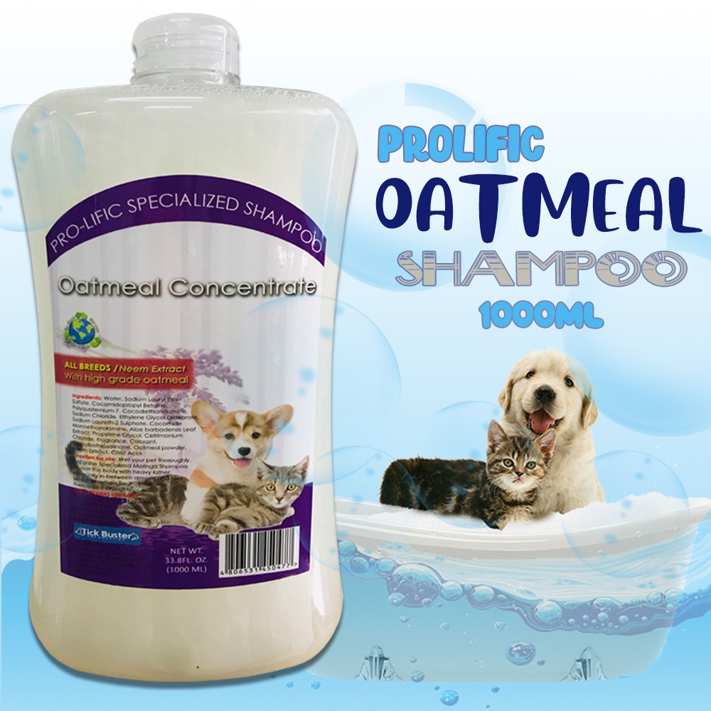 oatmeal shampoo concentrate