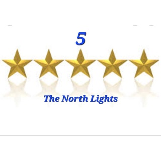The North Lights 5* Premium Action Figurine