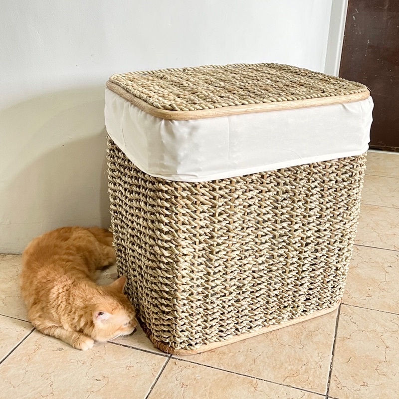 Rattan Laundry Basket With Lining Shopee Philippines