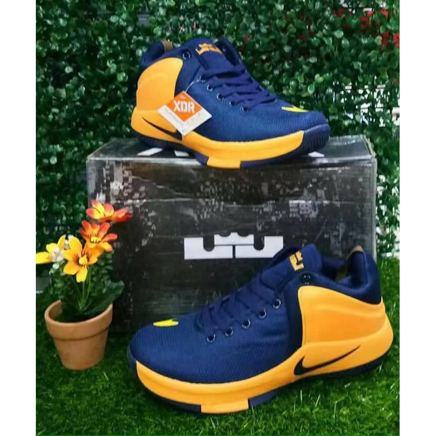 lebron james witness shoes