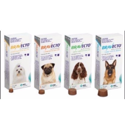 Bravecto Chewable Tablet kills fleas 