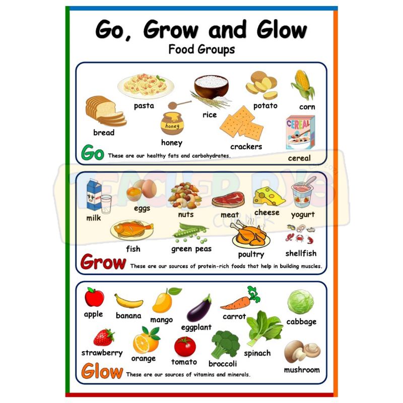 Go, Grow and Glow A4 Size Laminated Educational Wall Chart for Kids