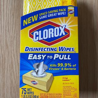 Clorox Disinfecting Wipes Bleach Free Cleaning Wipes 75 Count Each Shopee Philippines