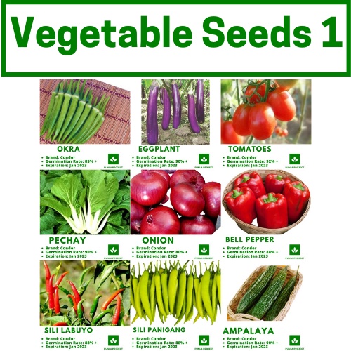 Vegetable Seeds Kamatis Pechay Talong Ampalaya Sibuyas Okra Sili ...