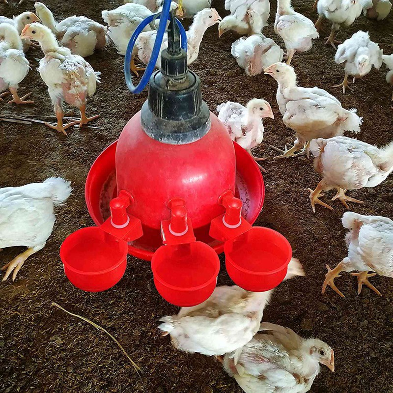 [R8]Chicken Watering Cup Automatic Filling Waterer Poultry Drinking Bowl Thread Watering Feeder Cup for Chicken #6