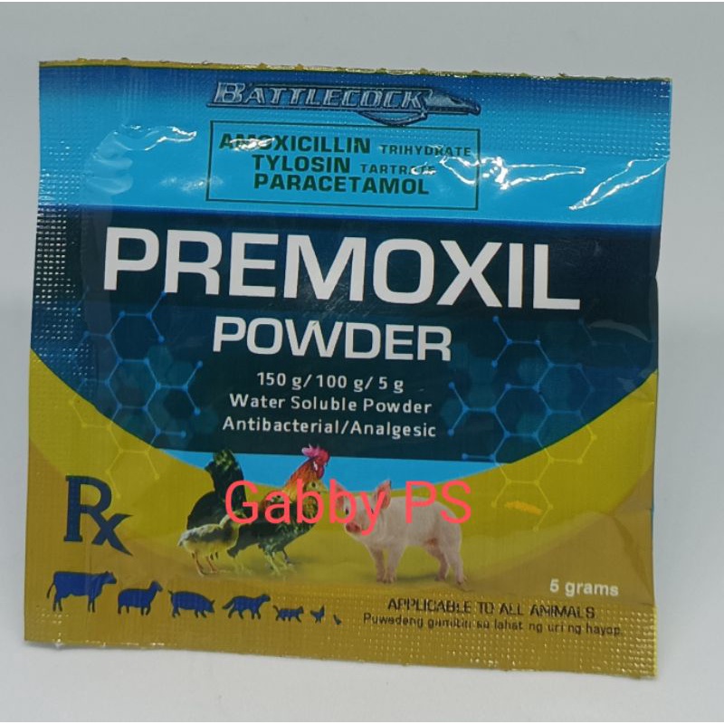 Premoxil Powder Antibiotic with Paracetamol Shopee Philippines