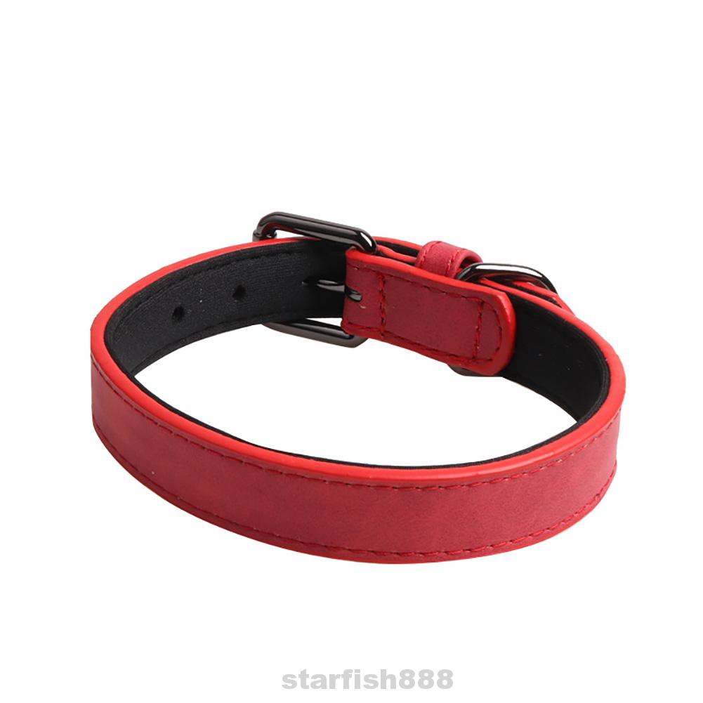 red leather dog collar