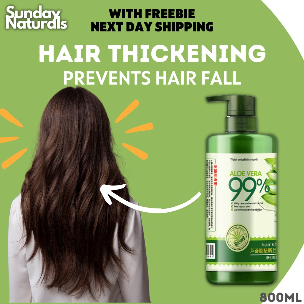 99% Aloe Vera Hair Shampoo Thickening Hair | Shopee Philippines