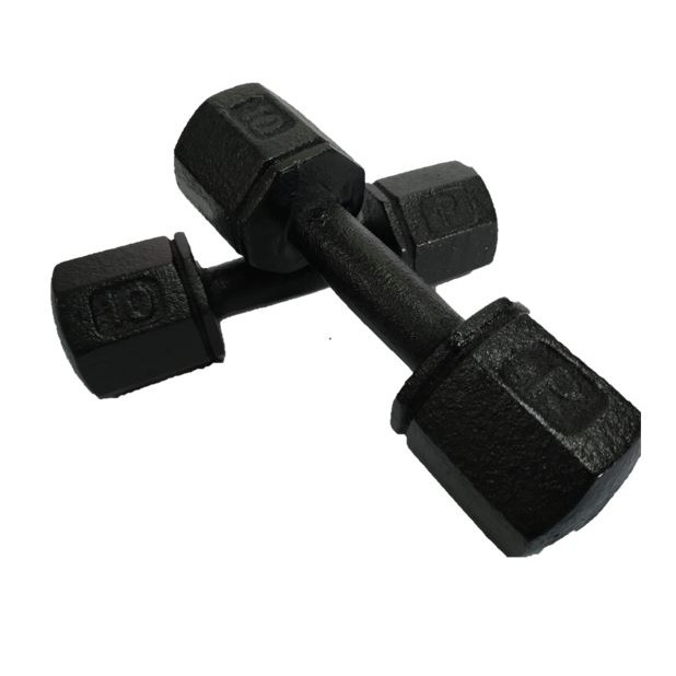 10 lb dumbbells