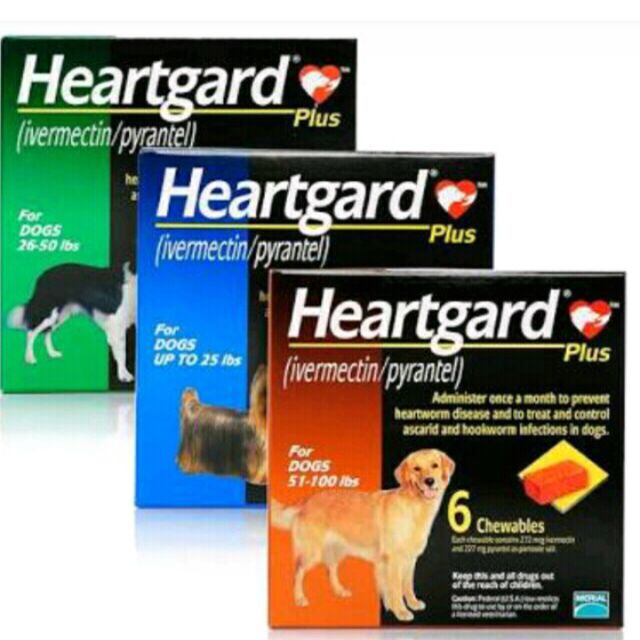 heartgard plus chewables for small dogs