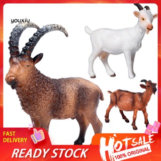 toy goats for sale