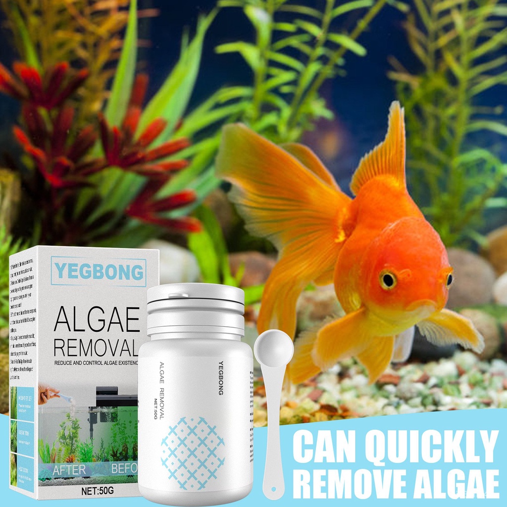Fish Tank Moss Removal Algae Aquarium Algaecide Aquatic Algae Removal