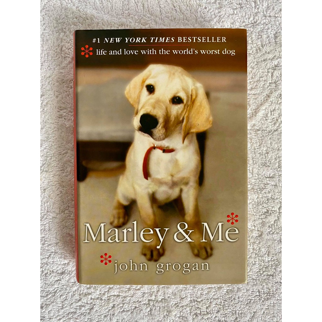 worst dog in the world