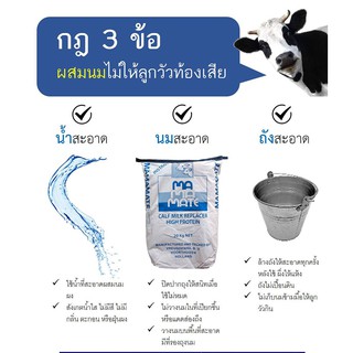 mamamate Milk Powder Animal Feed Cow Calf-Raising Cockroach Cultivated Imported Holland Premium Grade Divided For Sale. #3